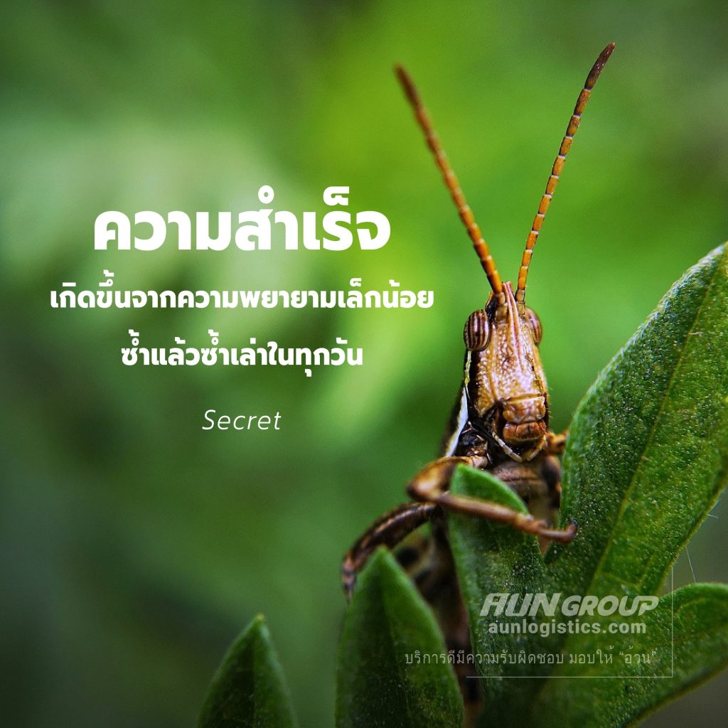 aunlogistics - บทความดีๆ