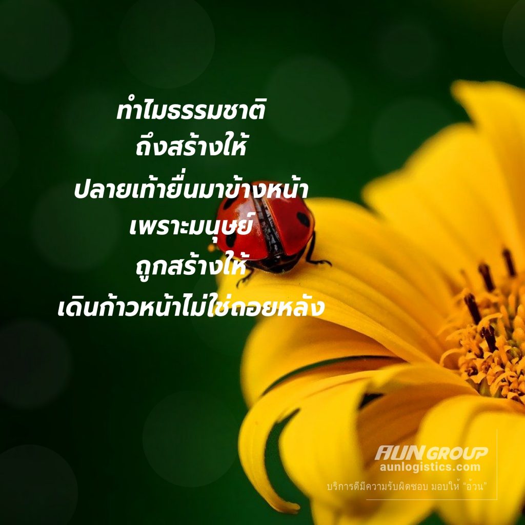 aunlogistics - บทความดีๆ