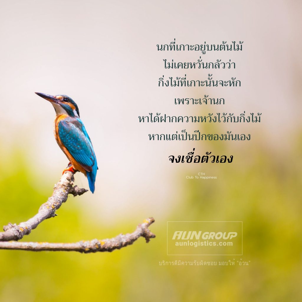 aunlogistics - บทความดีๆ