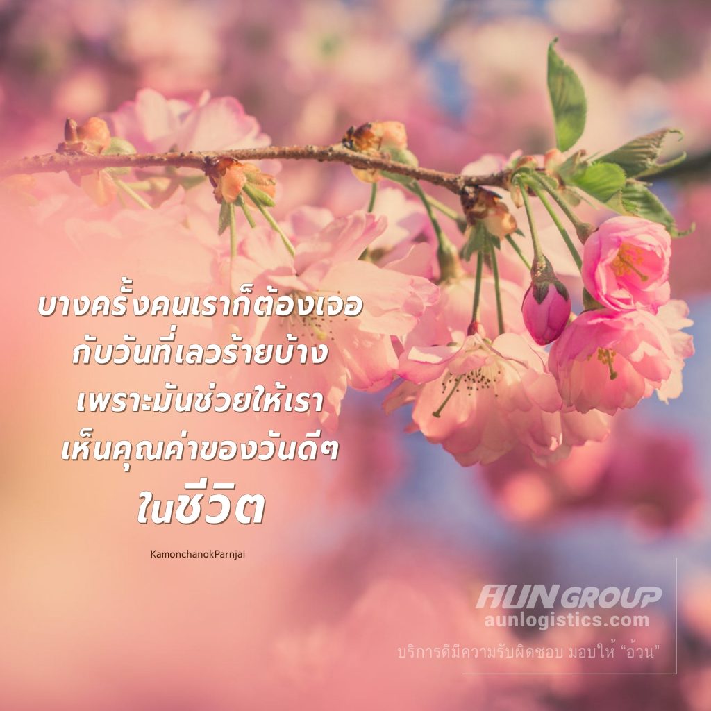 aunlogistics - บทความดีๆ